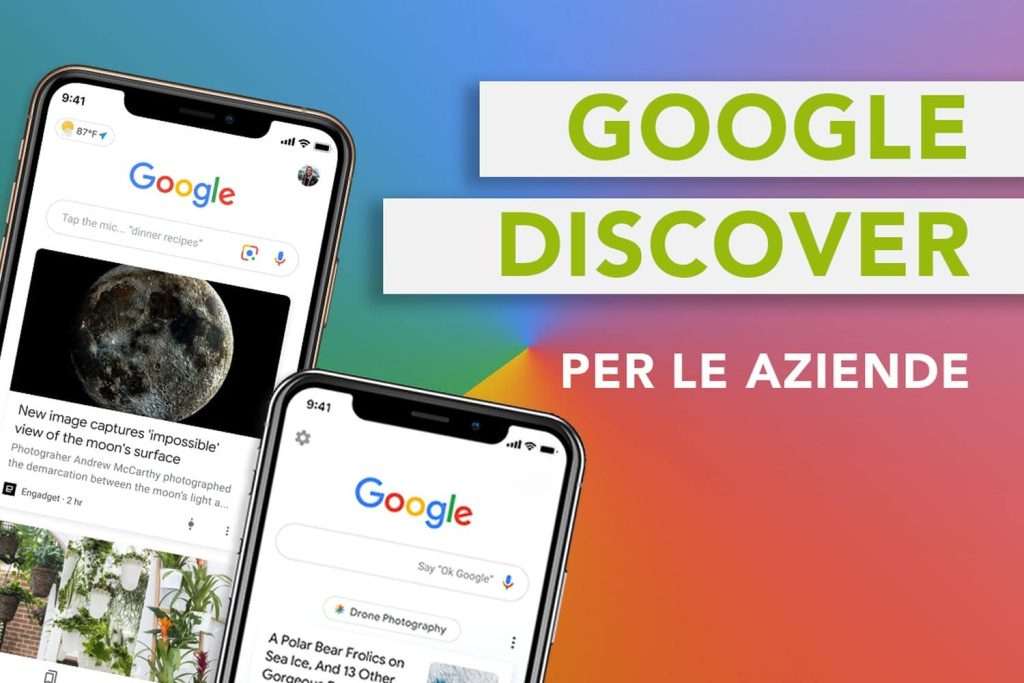 Google Discover_Blog_Yucca