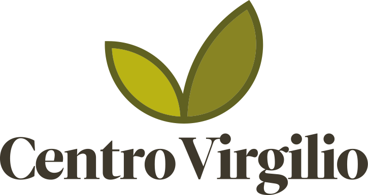 logo VIRGILIO-1