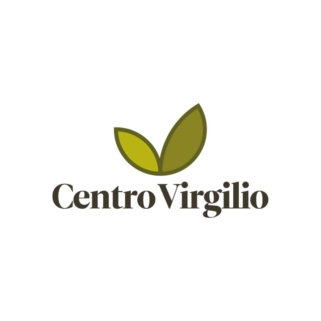 Logo Virgilio
